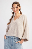 Oatmeal Textured V-Neck Sweater